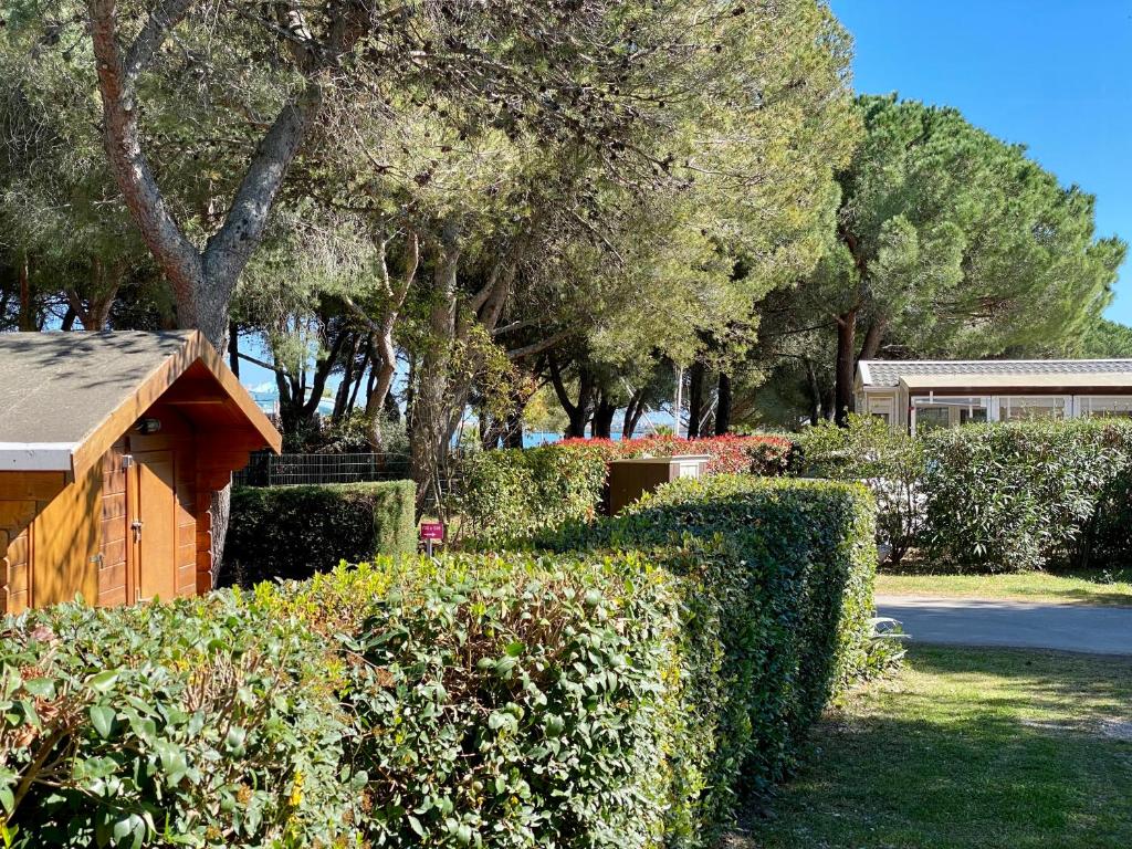 NEW Jungle Lake - Clim - WIFI - Draps & serviettes - BBQ - 10' des plages - Mobile Home