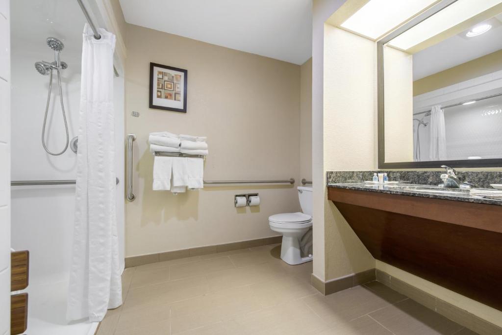 Comfort Suites Lafayette University Area - King Suite - Accessibile/non Fumatori
