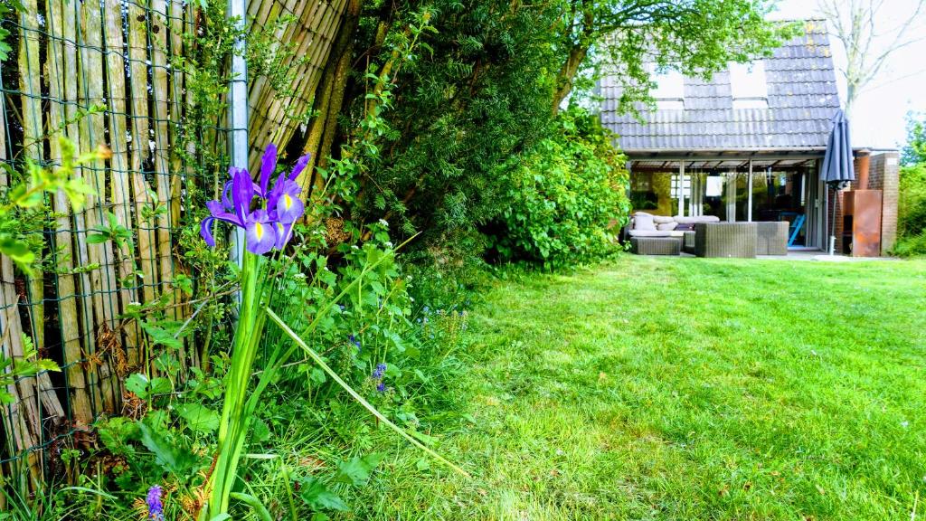 Zahrada ubytování Oude-Tonge holiday house near fishing waters