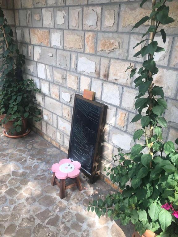 Villa Flamingo - Apartamento - Planta Baja