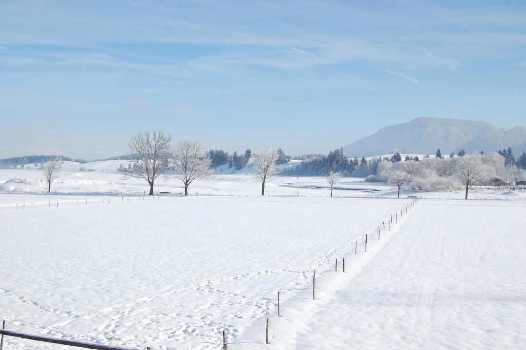 Gästehaus Stefanie - 14