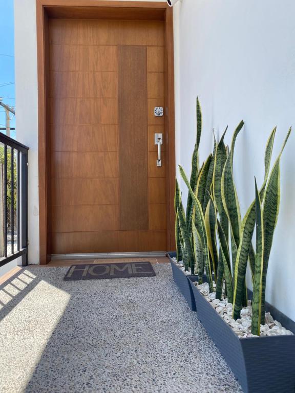 una puerta de madera con plantas delante en Departamento nuevo con excelente ubicación!, en Mazatlán