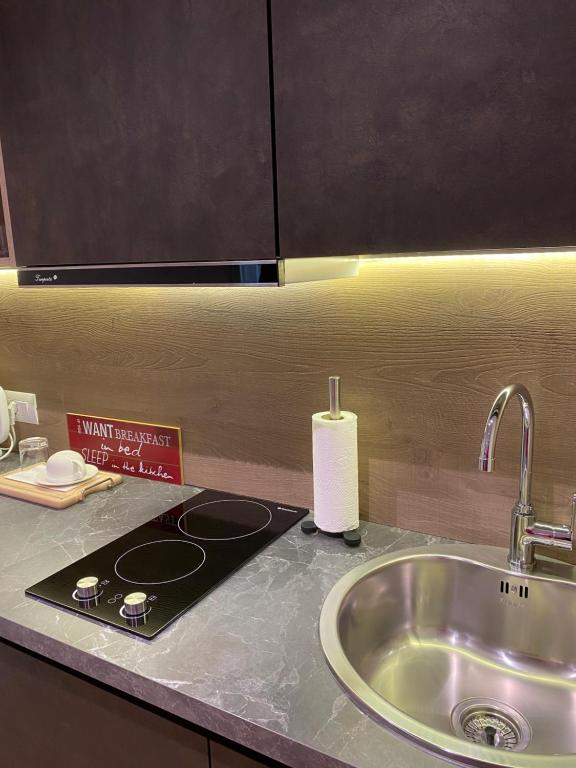 Kuchyň nebo kuchyňský kout v ubytování Living Studio Apartments