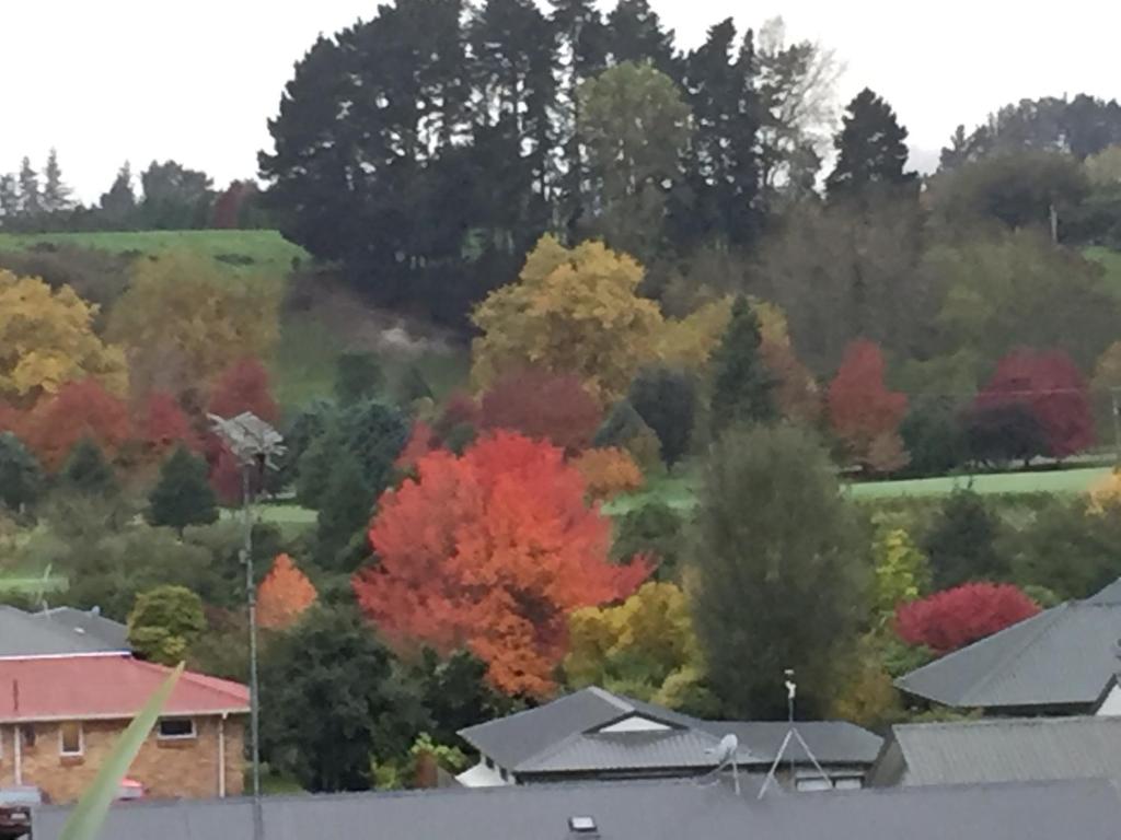 Kingsley Quarters - Resim 25