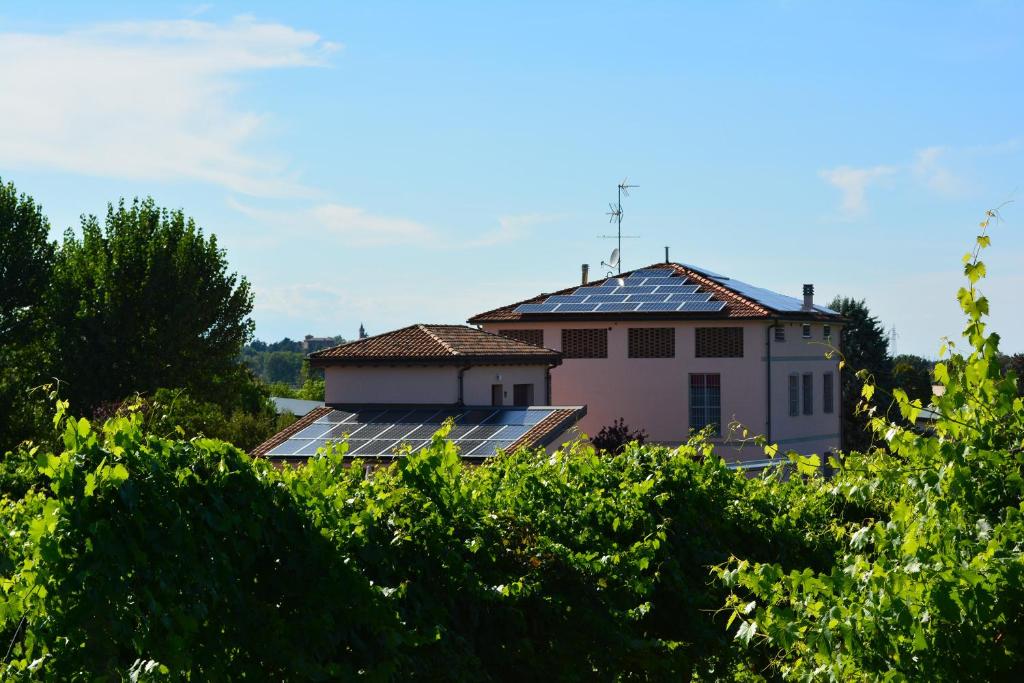 A garden outside Le Stanze di Bacco