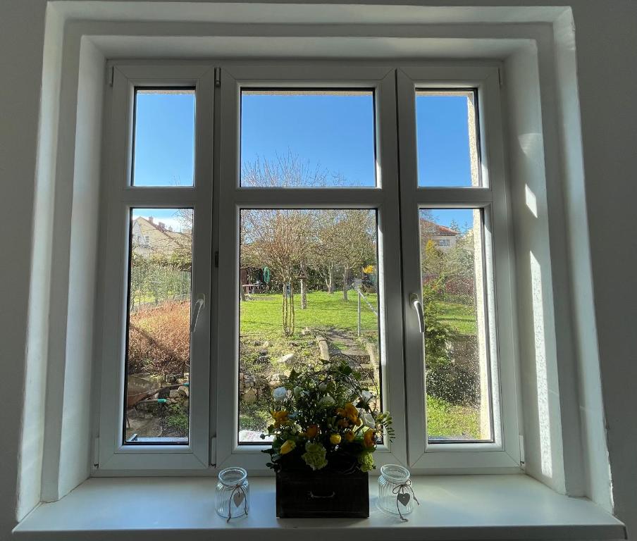 Zahrada ubytování Apartmán Na Polabí