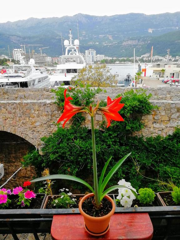 Guesthouse Bogdanovic - 2