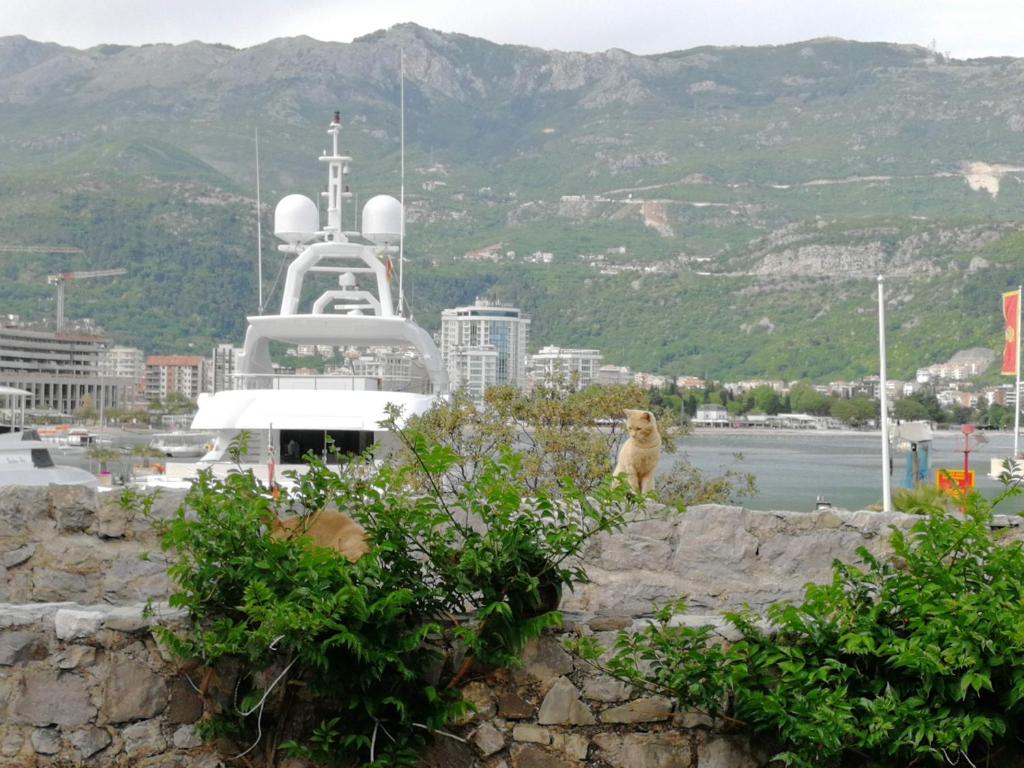 Guesthouse Bogdanovic - 9