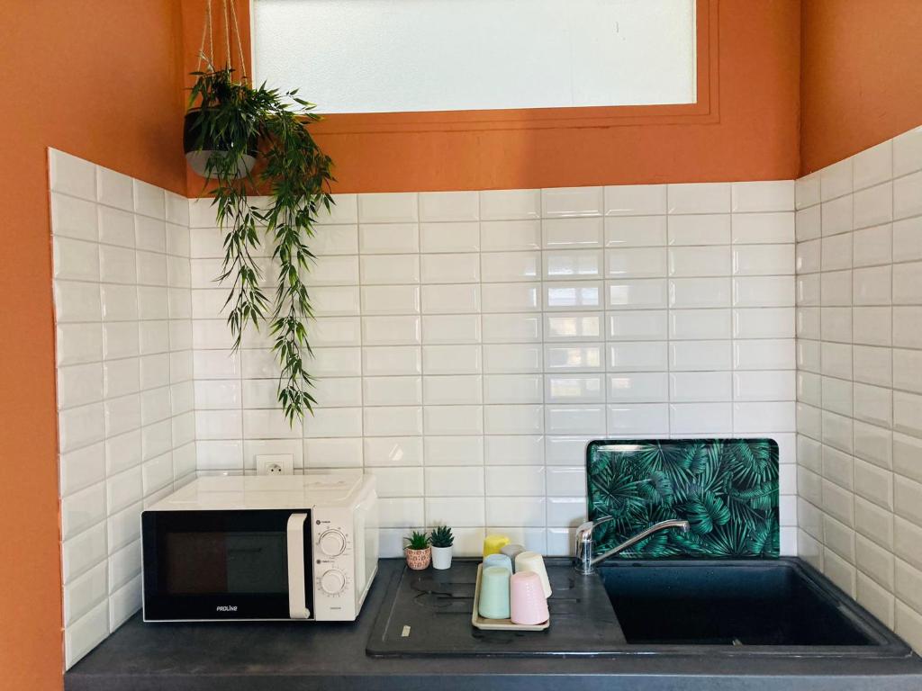 uma cozinha com um lavatório e um micro-ondas em Charmant appartement em Épinal