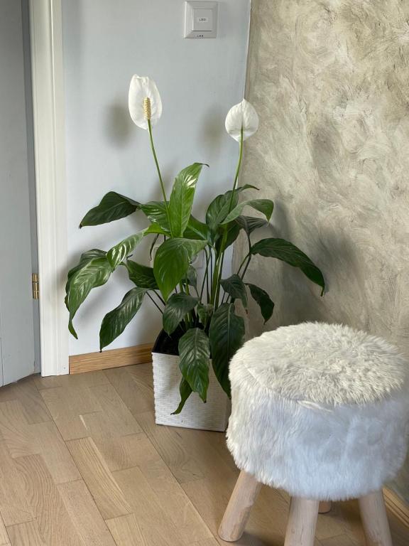 Fotografie z fotogalerie ubytování Renthouse Guest Apartment ADEELE v destinaci Paide