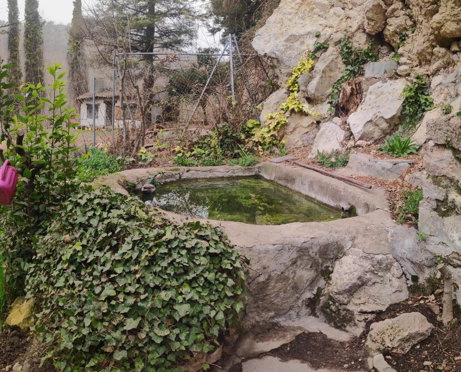 A garden outside Casa Rural El Edén del Ungría
