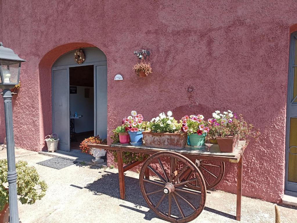 Foto de la galeria de Il Baffetto B&B a Roma
