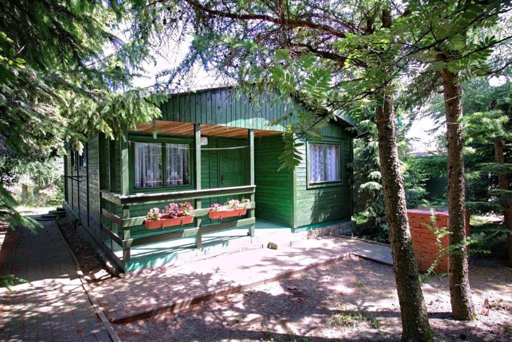 una casa verde con dos ventanas y algunos árboles en Ośredek Wypoczynkowy MEDUSA, en Rusinowo