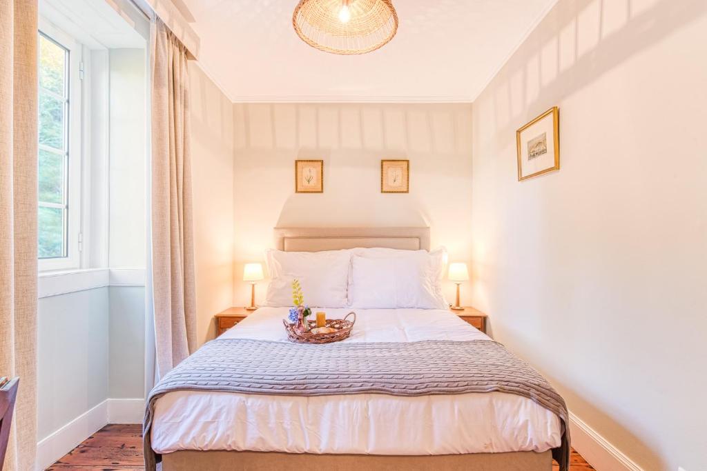 Quinta da Moscadinha - 8