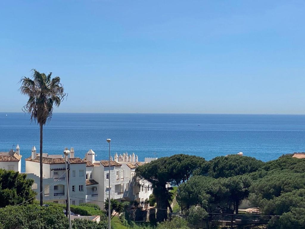a building with a palm tree in front of the ocean at Studio Pinar in Sitio de Calahonda