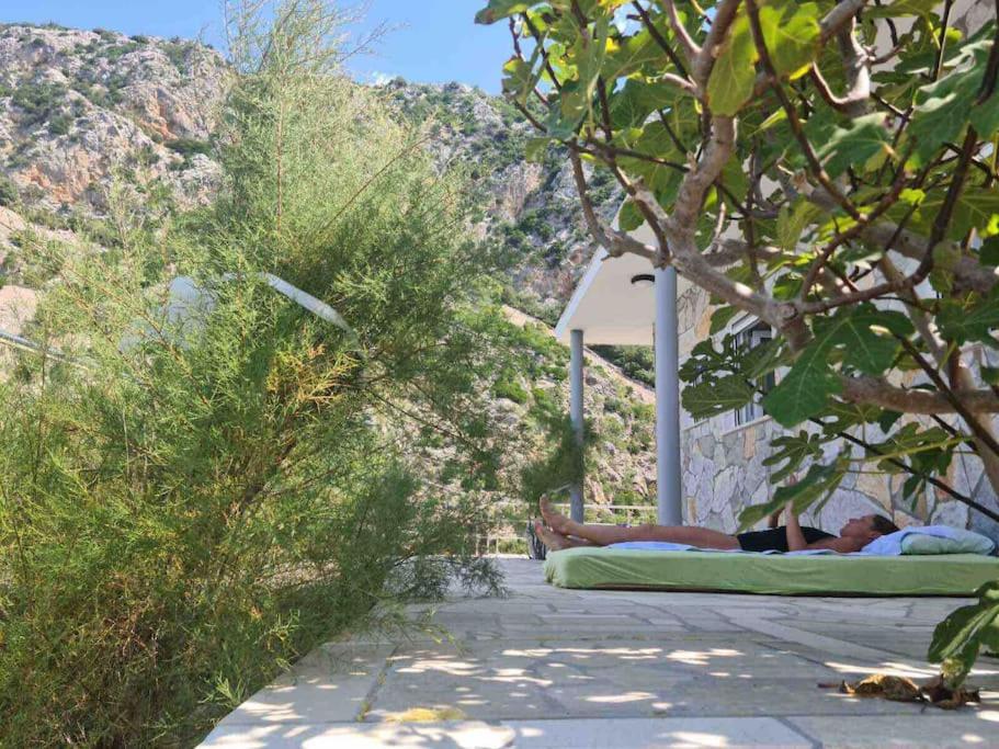 Fotografie z fotogalerie ubytování Apartman Bačarije,Pag-Prizna v destinaci Seline