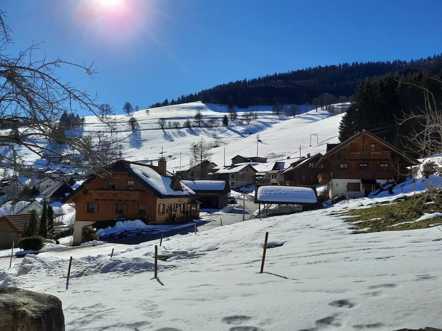 Ferienwohnung-Einklang im schönen Südschwarzwald v zimě