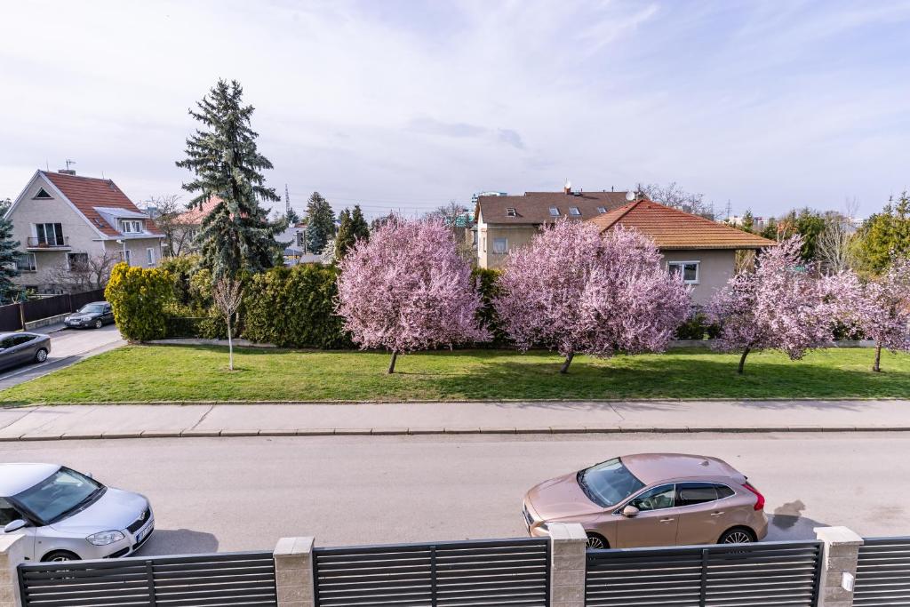 Home Le Fame - Resim 15