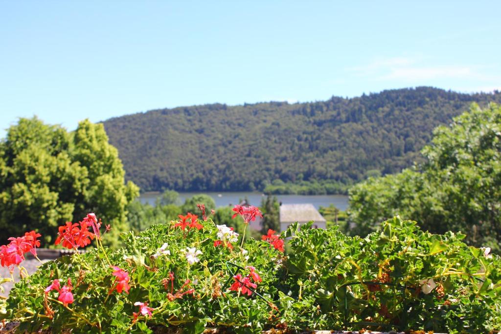 Gallery image of Maison de Varennes in Chambon-sur-Lac