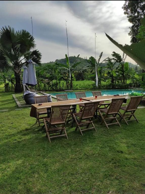 Zahrada ubytování Blue Garden Yogyakarta