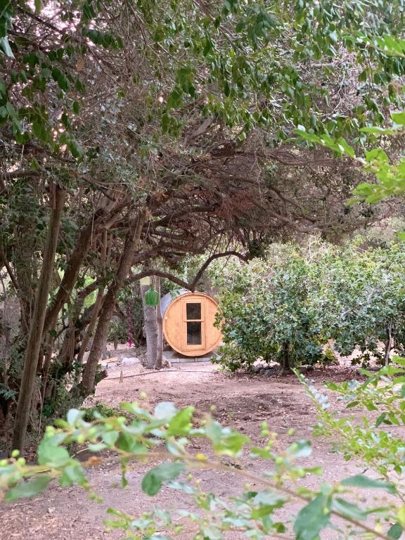 Zahrada ubytování KURALEMU Casa de Campo