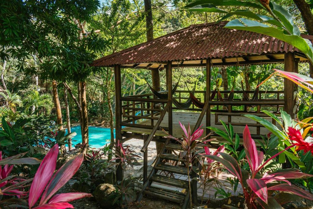 Zahrada ubytování Hotel Cabañas Club Sierra Limón