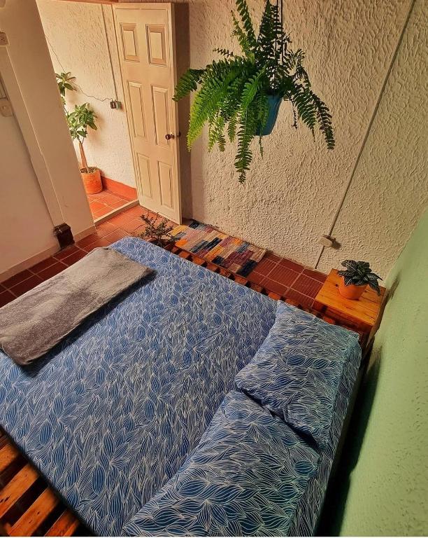 a bedroom with a bed in a room with a plant at Tatami Hostel in Bucaramanga