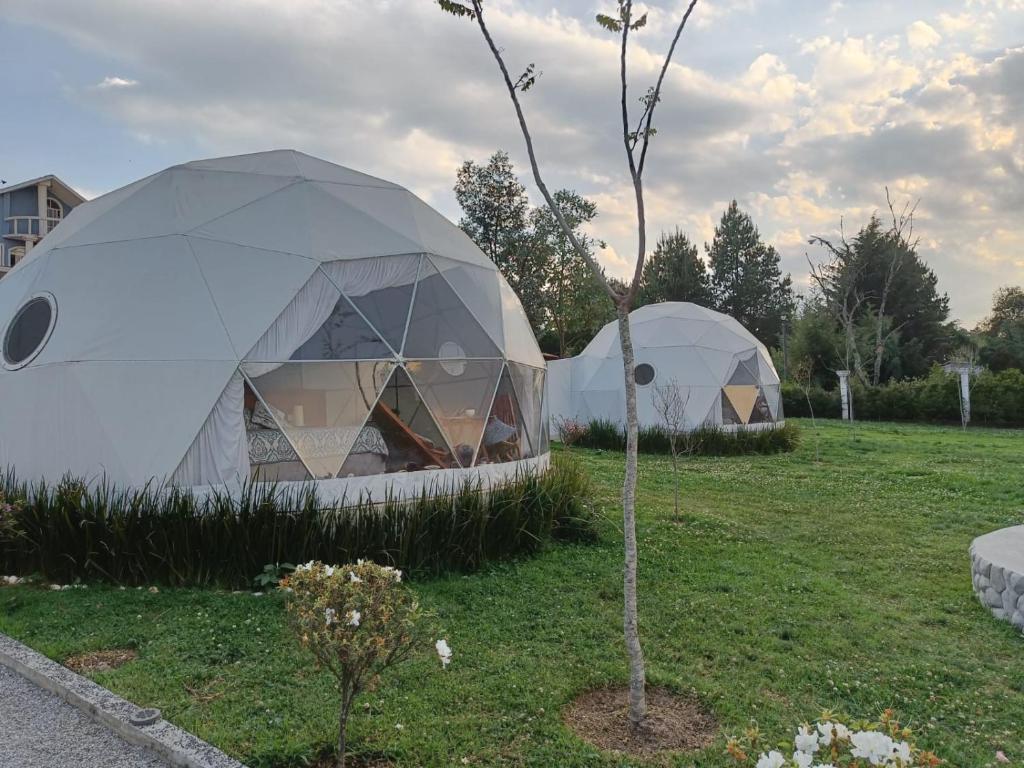 Zahrada ubytování Mantra Glamping & Chalets