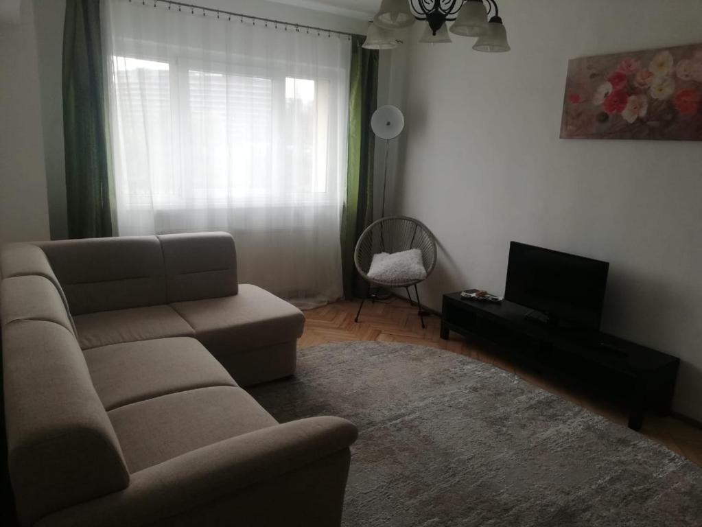 - un salon avec un canapé et une télévision dans l'établissement Apartament Dodo, à Cluj-Napoca