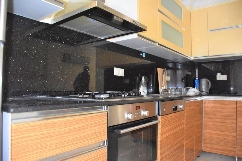 Kuchyň nebo kuchyňský kout v ubytování Dinara Hotel