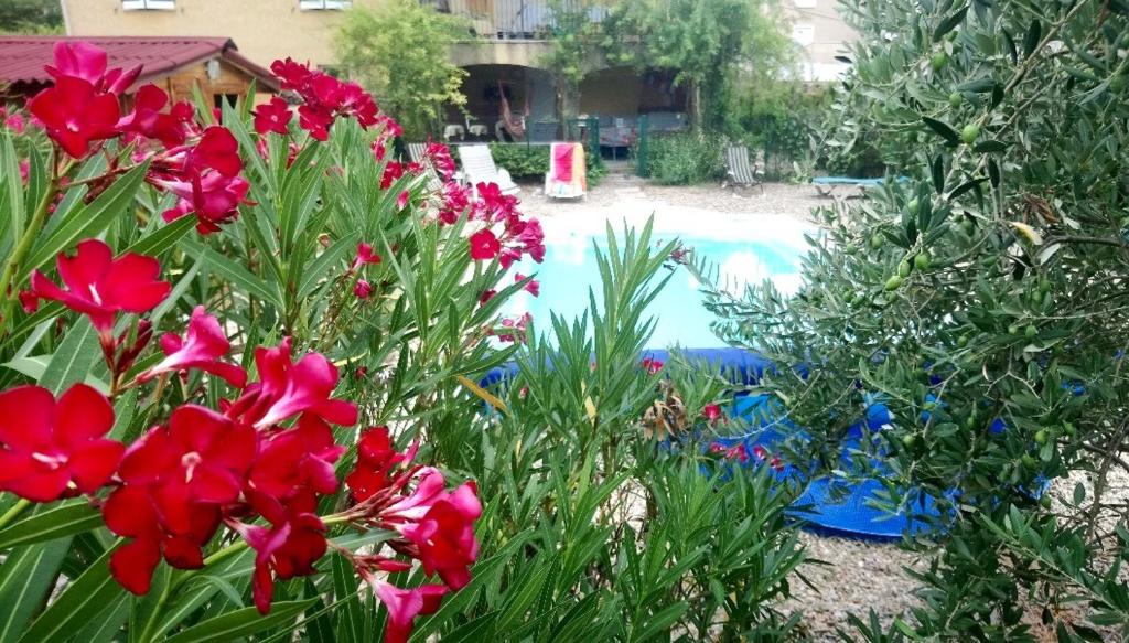 - un groupe de fleurs devant une piscine dans l'établissement Chambre studio cuisine indépendant 2 pers piscine proche Thermes des Fumades, à Rousson