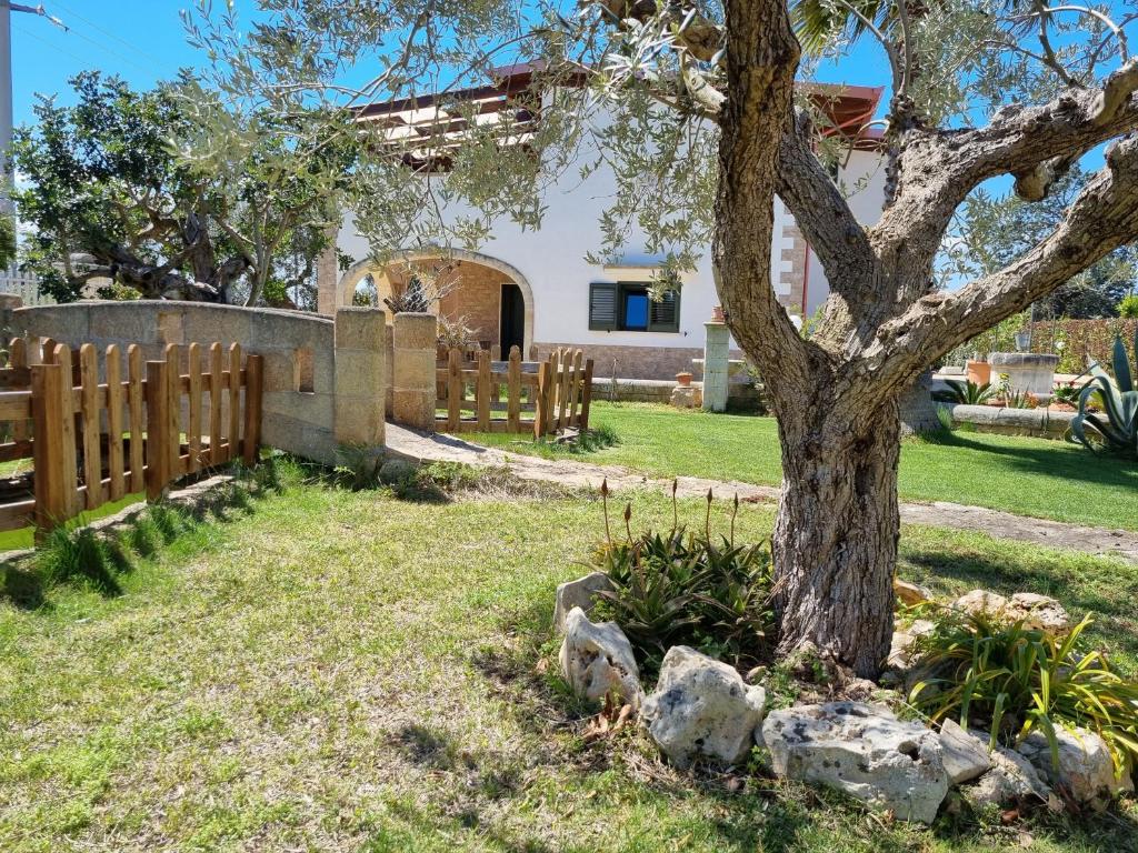 Zahrada ubytování Villa Stella - Salento Puglia