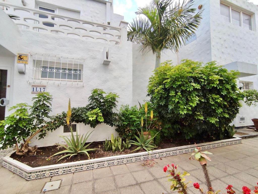 A garden outside Bungaló Santa Ana