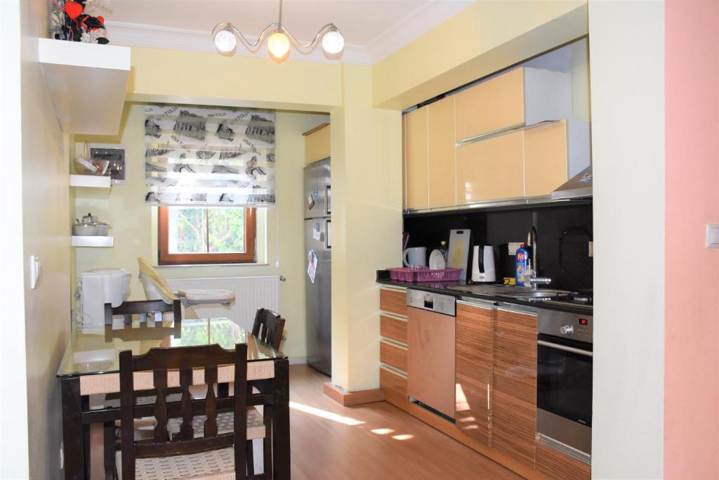 Kuchyň nebo kuchyňský kout v ubytování Dinara Hotel