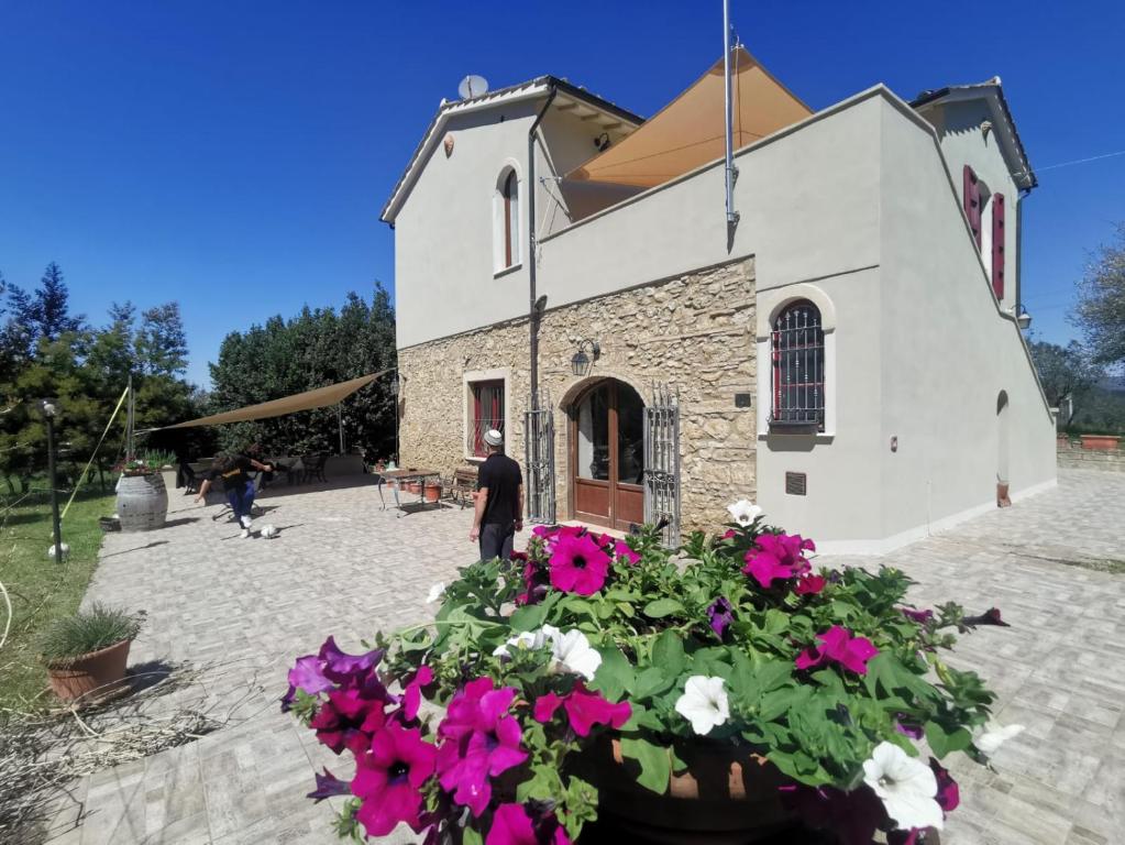 Le Giuncaie - Vigna con alloggio