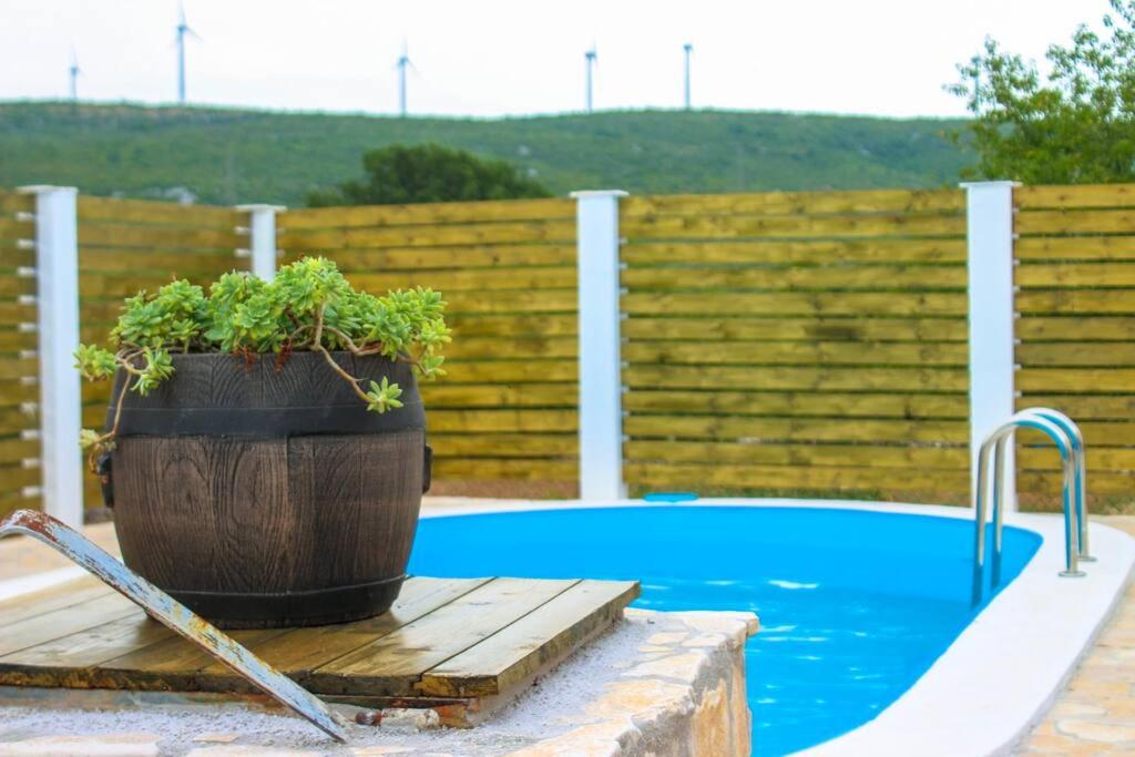 Φωτογραφία από το άλμπουμ του Quiet countryside house with a swimming pool σε Konjsko