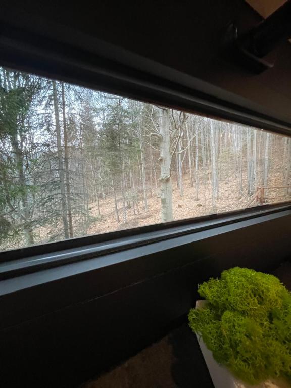 Fotografie z fotogalerie ubytování Domek na drzewie Ceprowo v destinaci Szczyrk