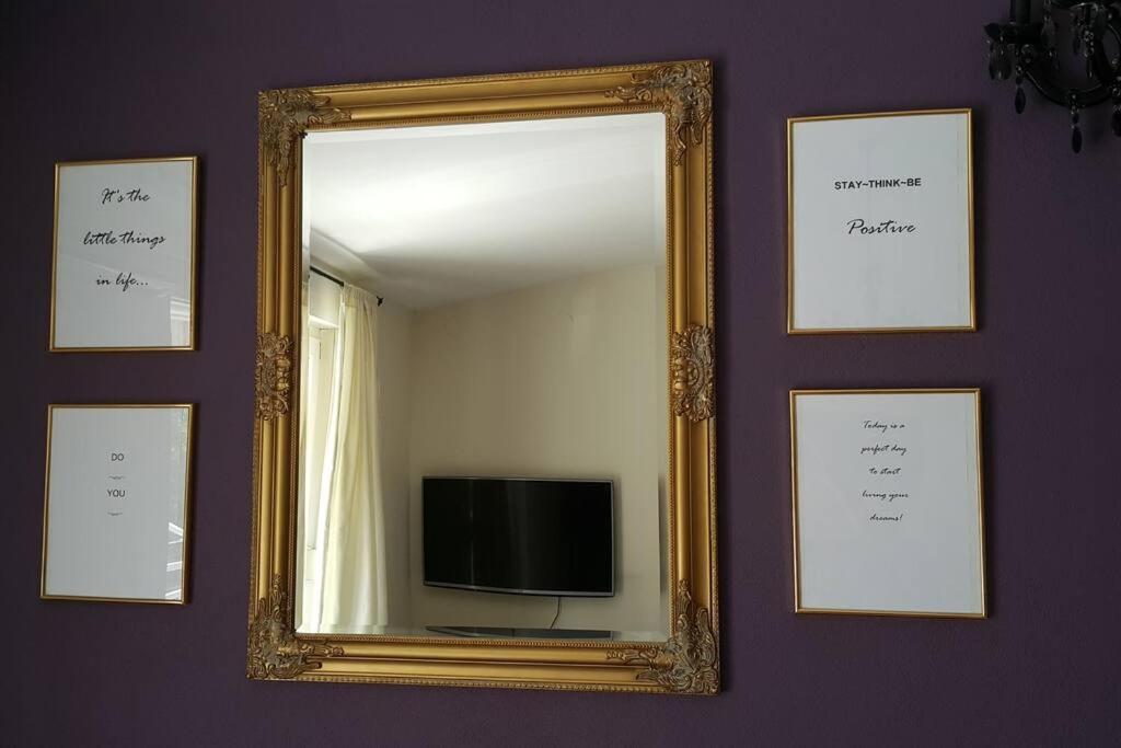 Cozy Circle Apartment - 5