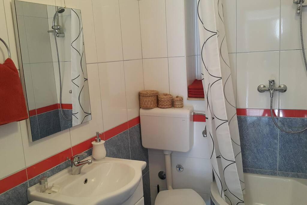 Cozy Circle Apartment - 6