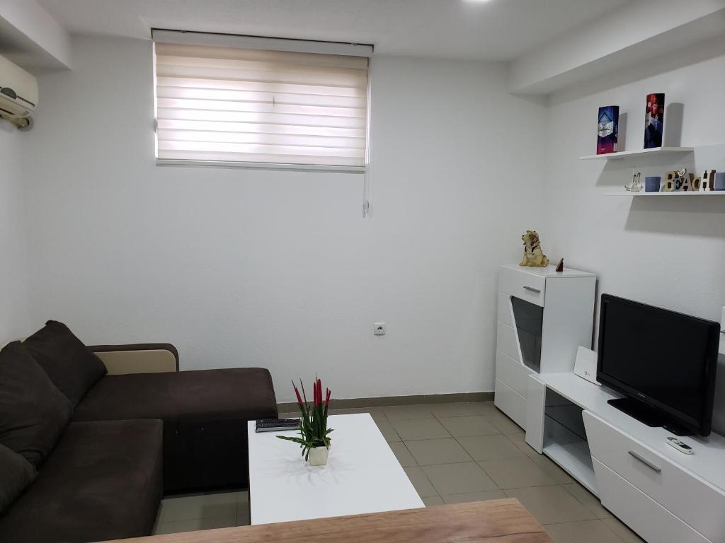 TV a/nebo společenská místnost v ubytování Apartmani Pajic