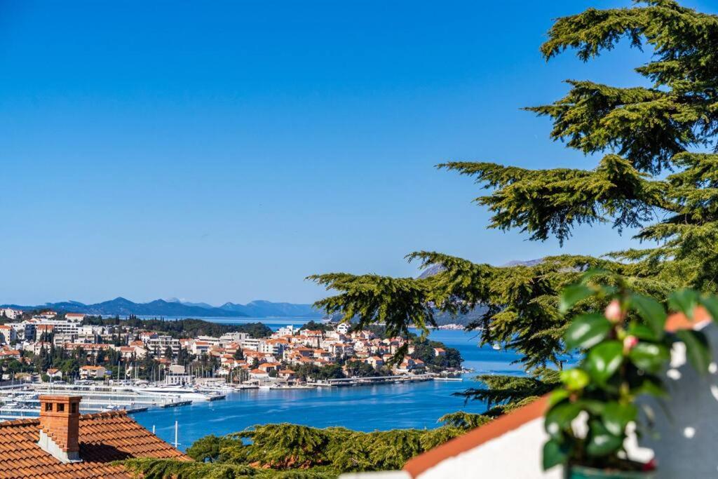 Príroda v okolí apartmánu