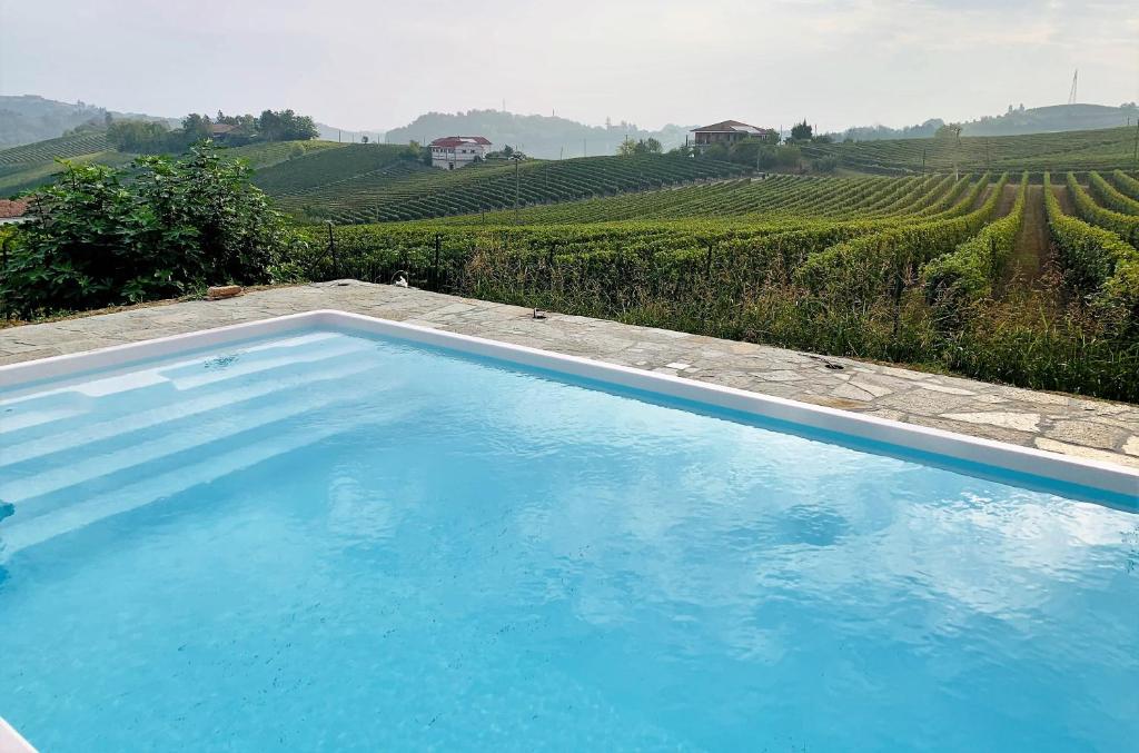 una gran piscina azul frente a un viñedo en Villa Bricco 46, en Nizza Monferrato