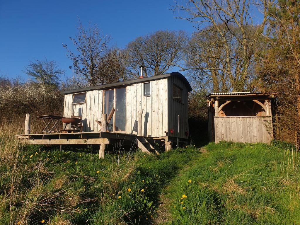 Letterston的住宿－Tiny Home，田野中的一个小房子和棚子