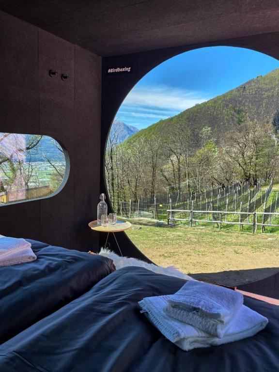 Příroda nedaleko luxury tent