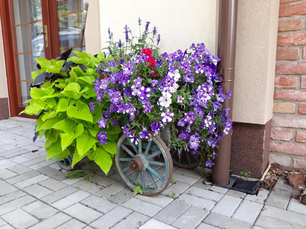 Taman di luar Dvoupokojový apartmán s kuchyňským koutem