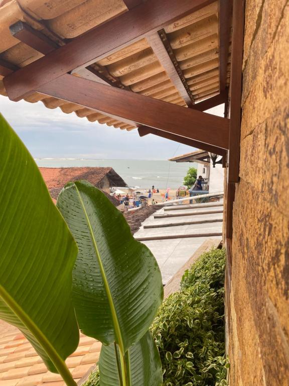 a plant in front of a building with a view of the beach at Acoara PRAIA in Jericoacoara