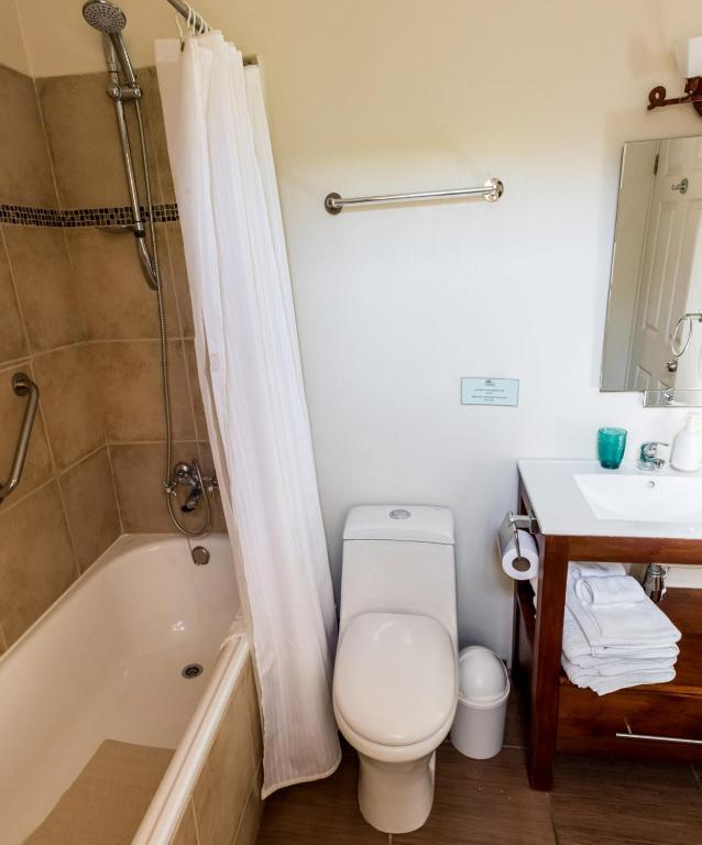 a bathroom with a toilet and a tub and a sink at Hotel Boutique Solaz Bella Vista de Colchagua in Santa Cruz