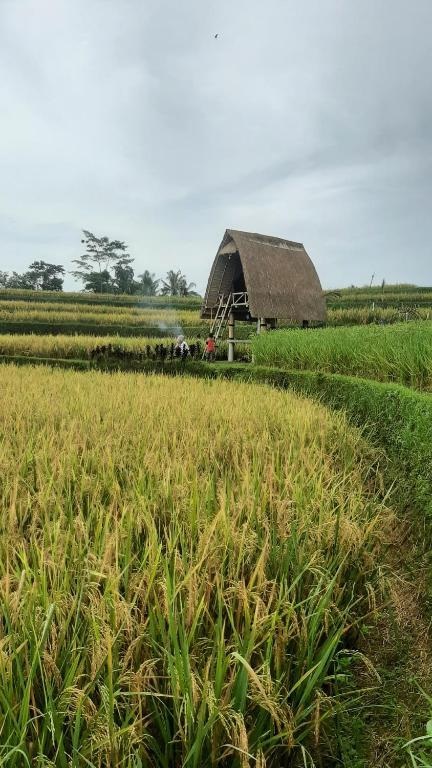 Fotografie z fotogalerie ubytování Batan Nyuh Retreat Tegallalang v destinaci Gianyar
