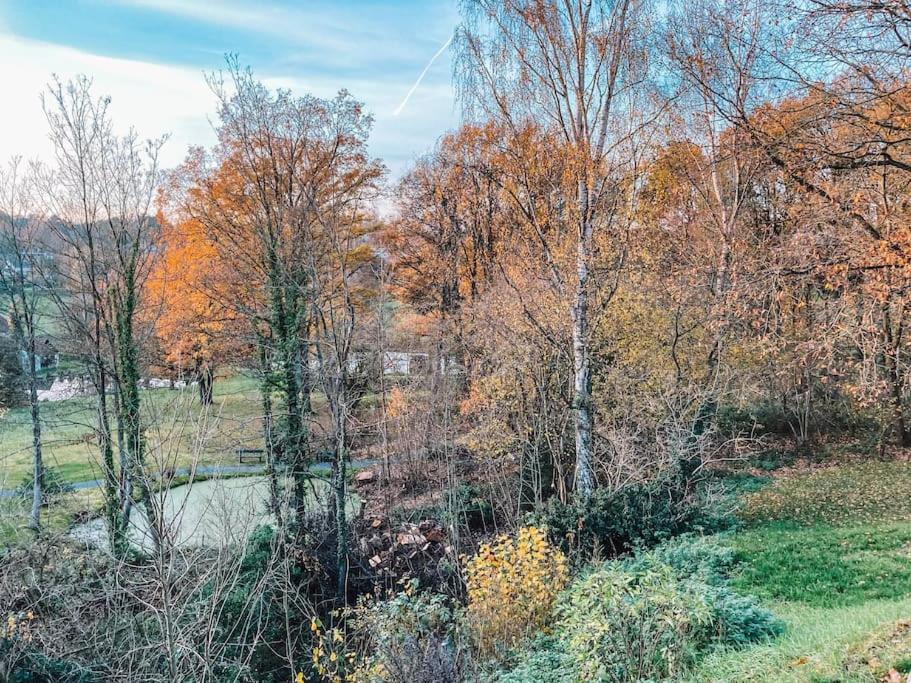 a group of trees in a field with a pond at Le Mirador in Lasne
