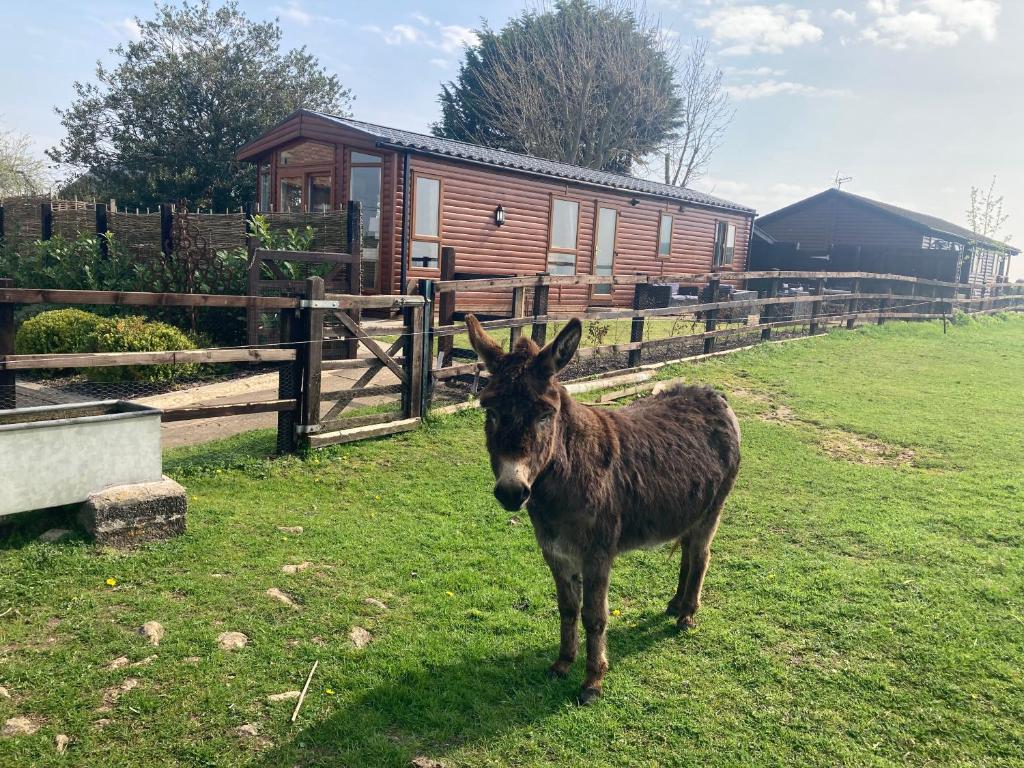 a donkey standing in the grass in front of a cabin at Rew Farm Country and Equestrian Accommodation - Sunset Lodge in Melksham